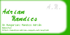 adrian mandics business card